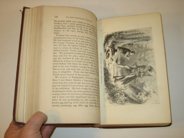 Barnum STRUGGLES AND TRIUMPHS J. B. Burr & Co 1870  